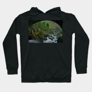 DAN BONT OGWEN Hoodie